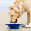 Blue Collapsible Dog Bowl - 24 Oz Dog Travel Water Bowl