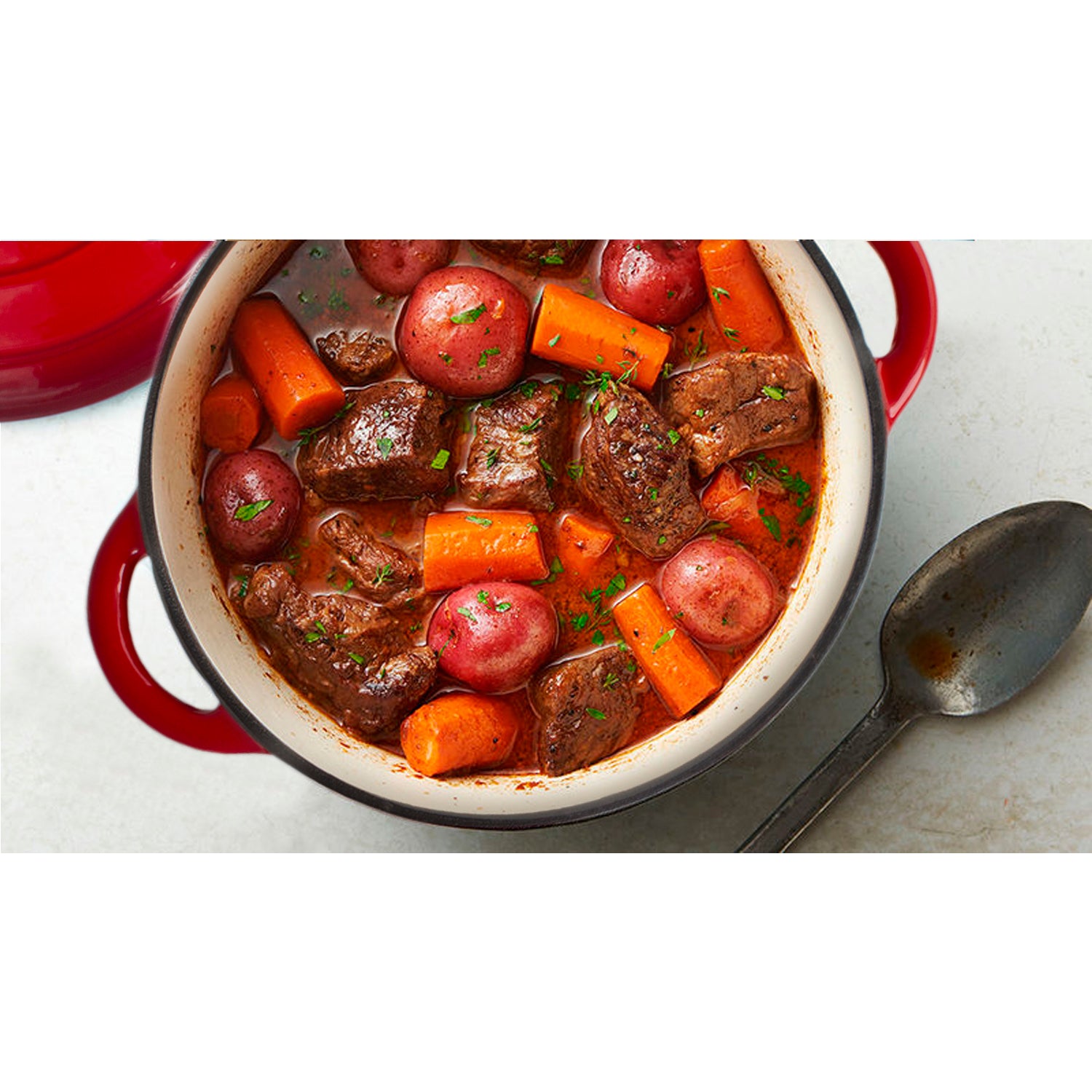 Enameled Cast Iron Dutch Oven - 3 qt Dutch Oven