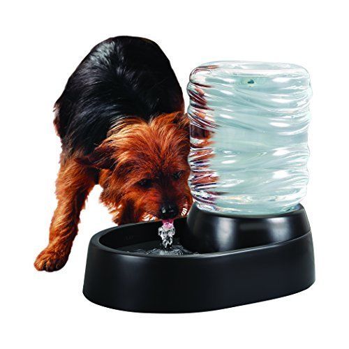 Dog & Cat Water Fountain 62 Oz Automatic Pet Fountain Dog Water Dispenser Black
