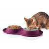 Pet Stainless Steel Food Water Bowl With Non-Slip Silicone Base - Dog Food Bowls