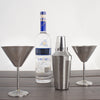 Stainless Steel Martini Gift Set - 2 Large Martini Glasses and Shaker Set