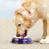 2 Pack Stainless Steel Dark Blue 16 Oz. Pet Bowl - Dog Cat Food Bowls