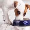 2 Pack Stainless Steel Dark Blue 16 Oz. Pet Bowl - Dog Cat Food Bowls