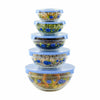 10 Pcs Glass Lunch Bowls Food Storage Containers Set With Lids & Flower Design